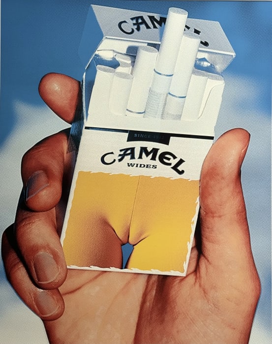 Slimesunday, Camel , 2023