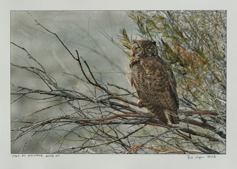 Bob Keefer, Owl at Malheur, 2023