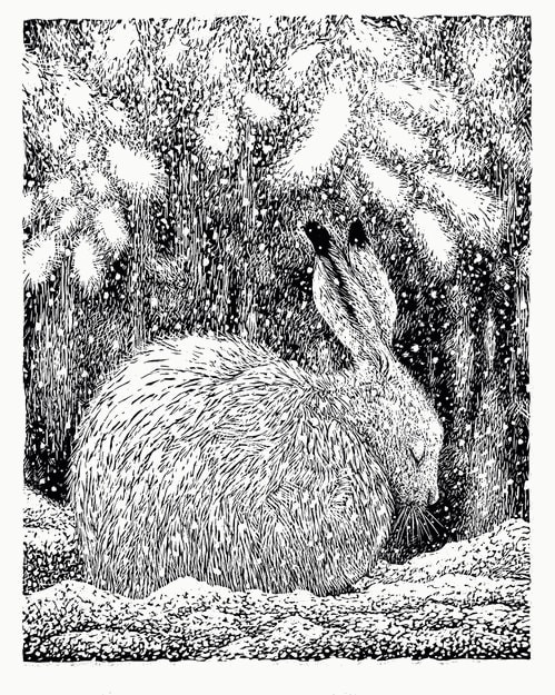 Marit Berg, Arctic Hare in the Snow, 2018