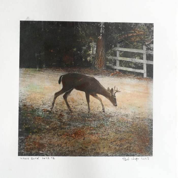 Bob Keefer, Young Buck, 2023