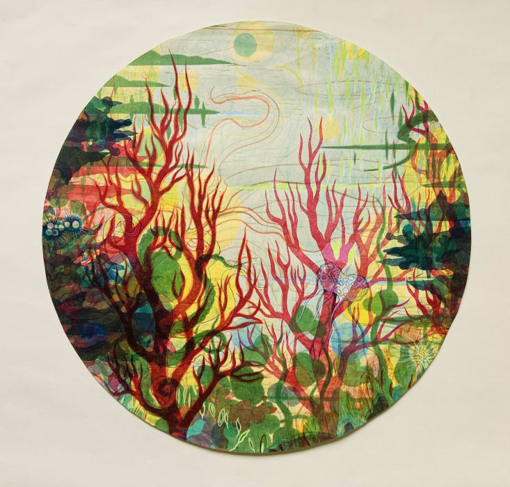 Tallmadge Doyle, Underwater Garden, Summer Lake III