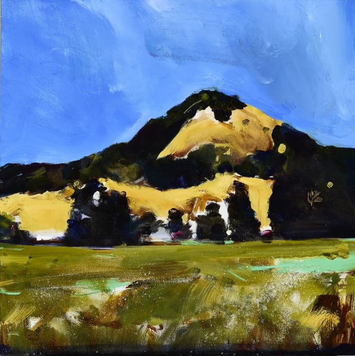 Adam Grosowsky, Brownsville Suite 6
