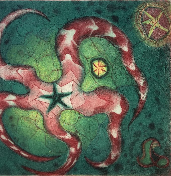 Tallmadge Doyle, Starfish in Red and Green