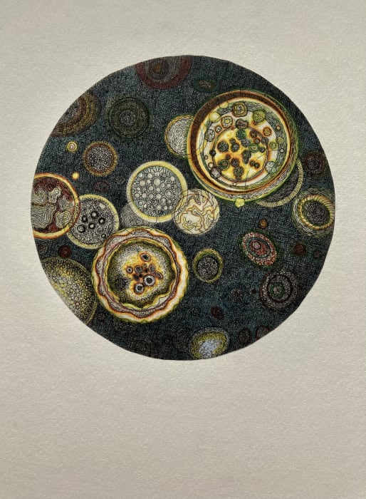 Tallmadge Doyle, Night Bloom