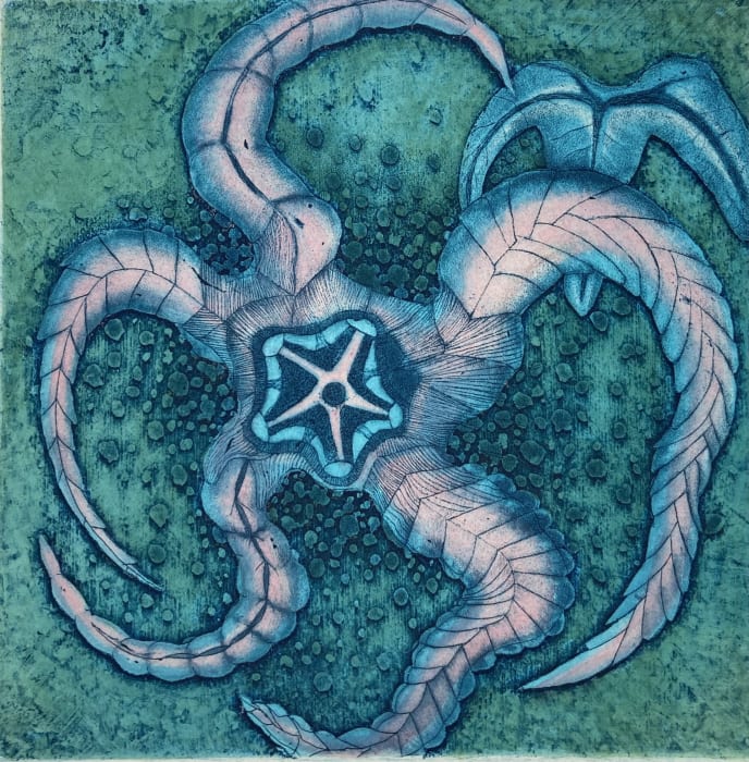 Tallmadge Doyle, Starfish in Blue