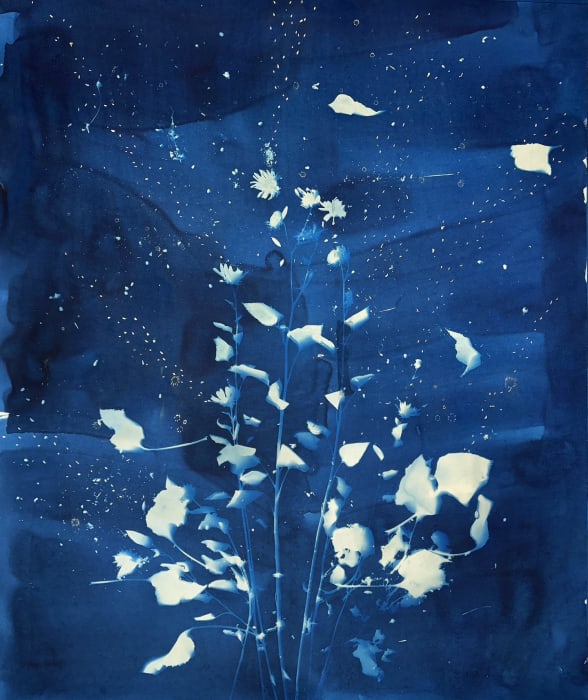 Christine Nguyen, Stars, Constellations and Sunflowers (6), 2023