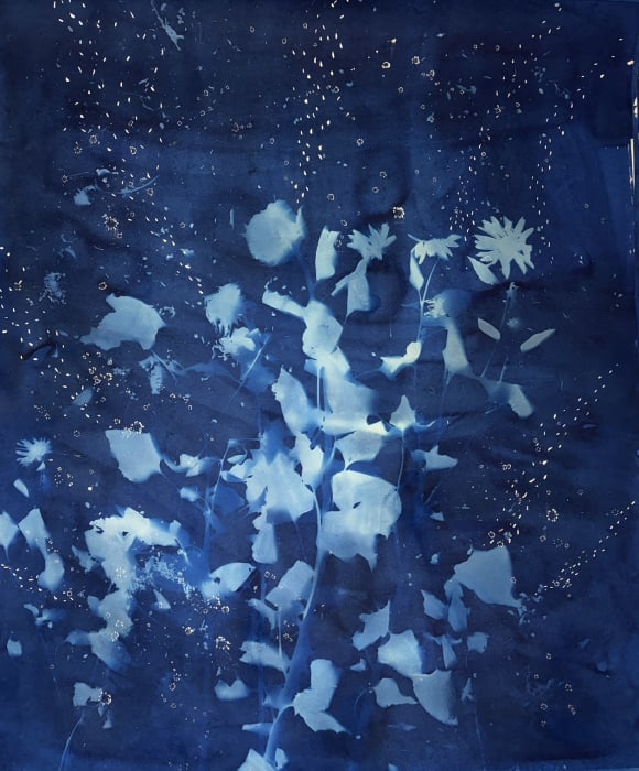 Christine Nguyen, Stars, Constellations and Sunflowers (7), 2023