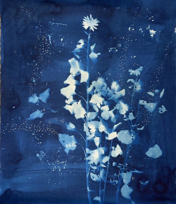 Christine Nguyen, Stars, Constellations and Sunflowers (9) , 2023