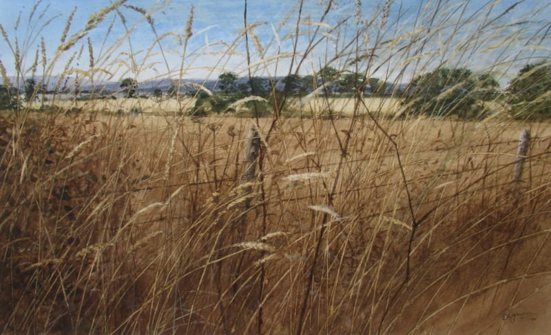 David E Johnston, RSW, September Field Edge, The Mearns