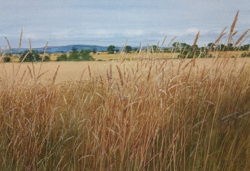 David E Johnston, RSW, Late Summer Landscape, The Mearns