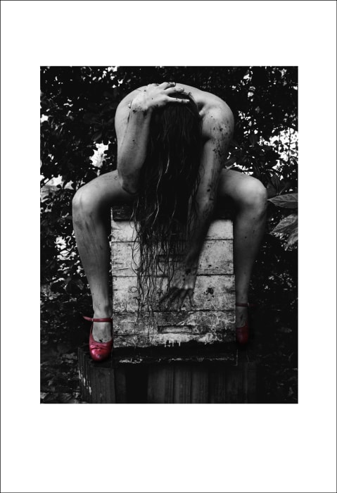 Claudia Jares, El Panal, ©2014