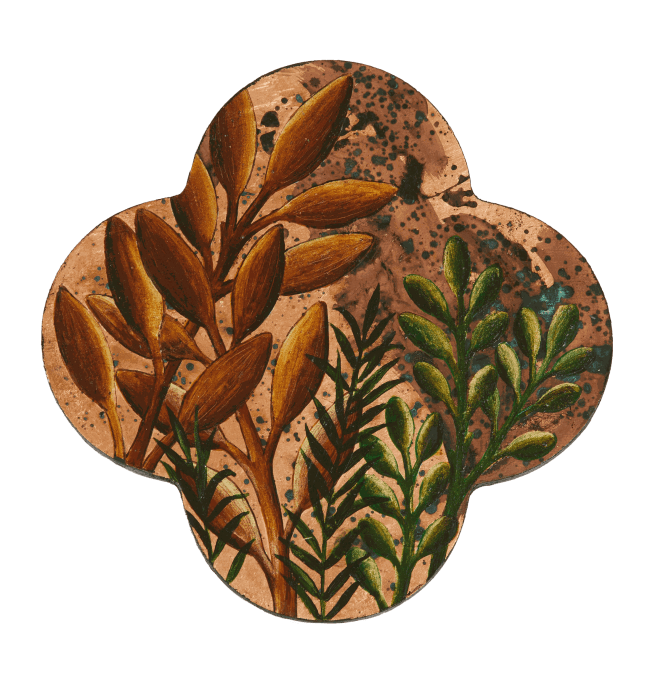 Quatrefoil - New Growth II by Nicky Foreman