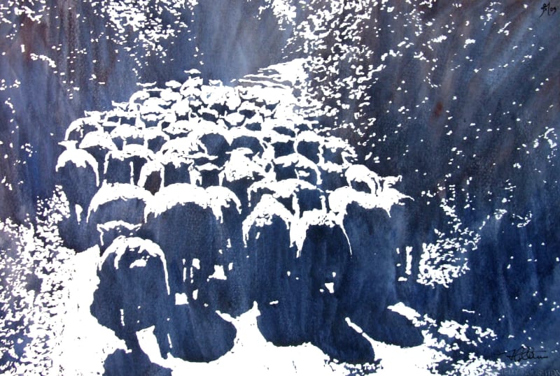 Jeremy Houghton, Woolly Bottoms