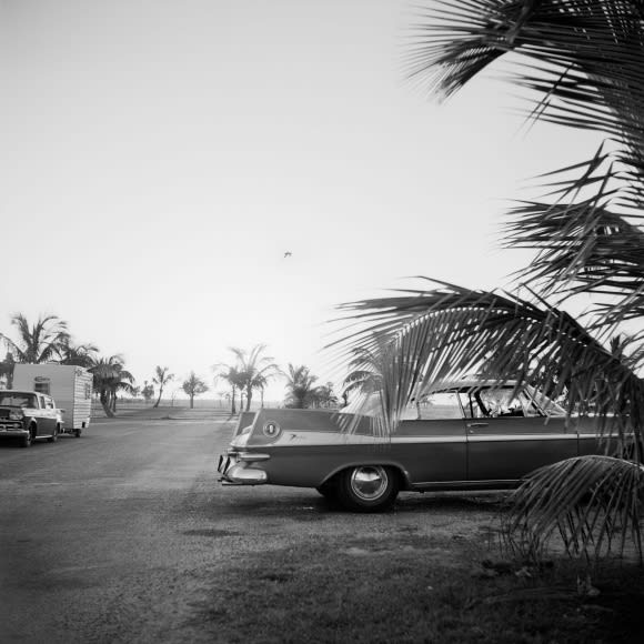 Vivian Maier, VM1955W02739 – New York, NY, 1955 (Car & Palm Tree)