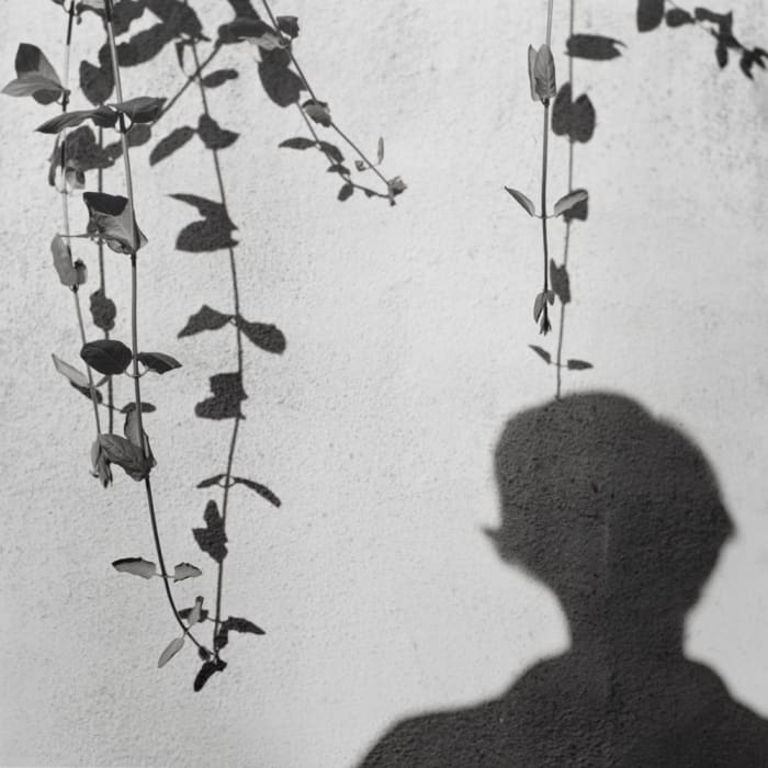 Vivian Maier, Self-Portrait, 1959 (Click to enlarge)