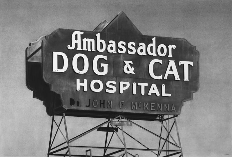 Eric Nash, Ambassador Dog & Cat Hospital, 2021