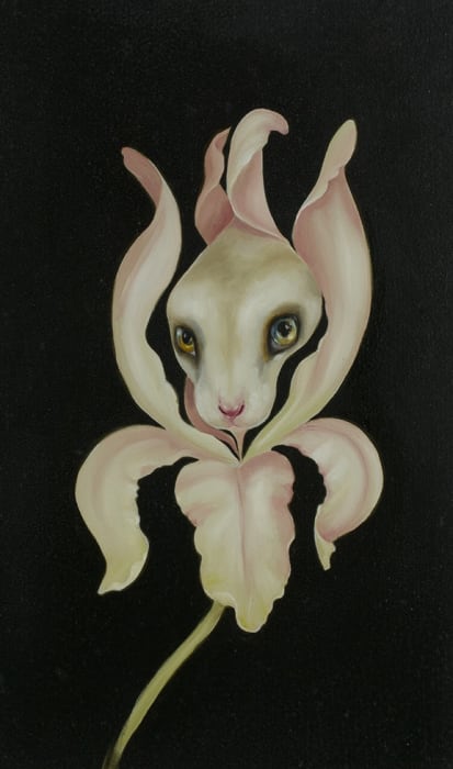 Jennybird Alcantara, Rabbit Flower Study 2, 2020 - SOLD