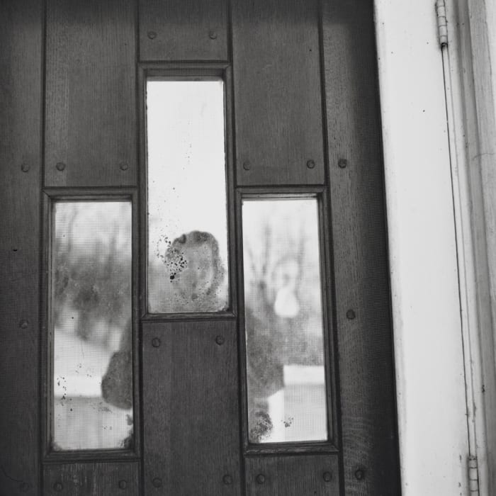 Vivian Maier, Self-portrait, Chicago area, 1963 (click to enlarge)