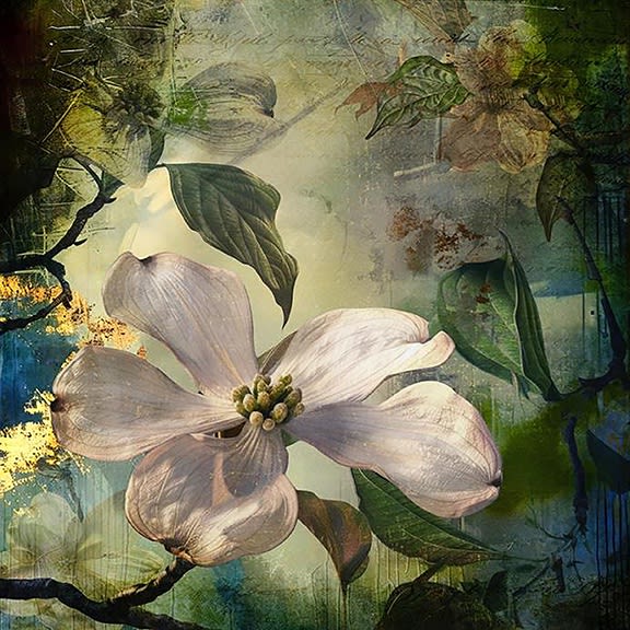 Ryn Clarke, Dogwood Memories, 2024