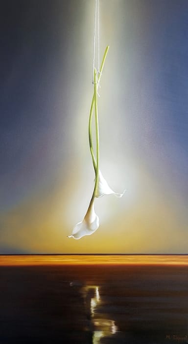Michael Zigmond, Two Suspended Calla Lilies