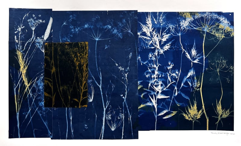 Trudy Wiesenberger, Moonlight On The Meadow, 2020