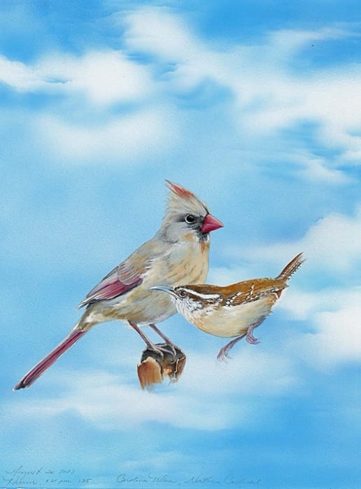 Amber Kempthorn, Birdsong, August 20th, 2023, 2024