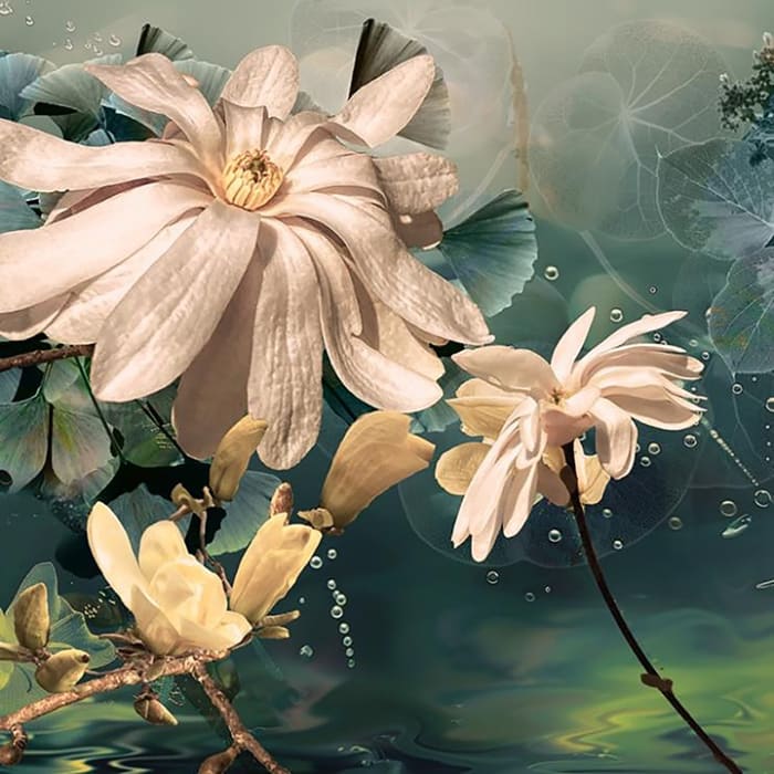 Ryn Clarke, Magnolias in Water, 2024