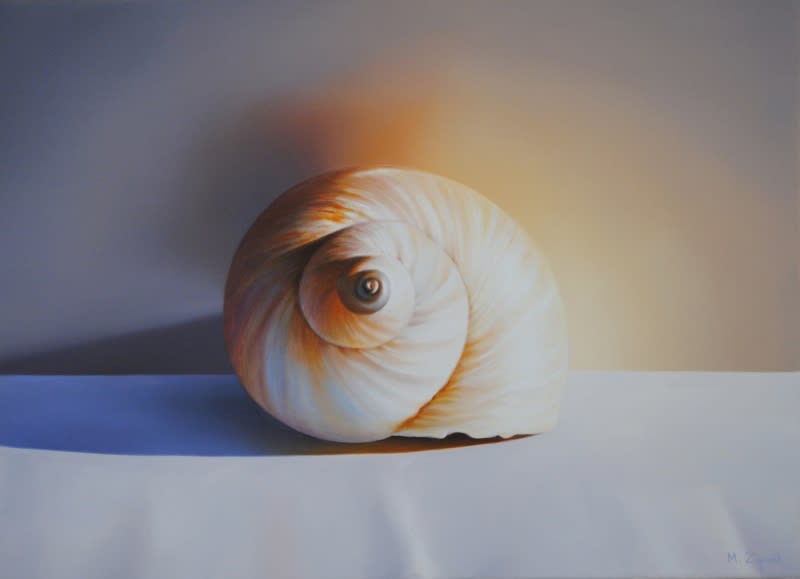 Michael Zigmond, Shell