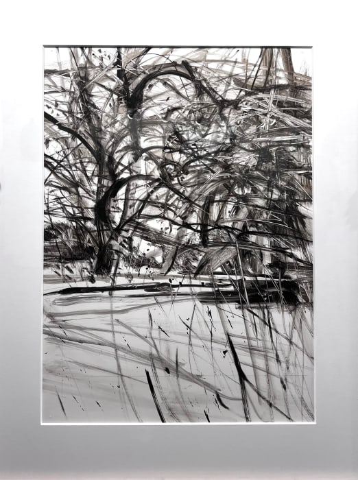 Kim Zarney, Meadow