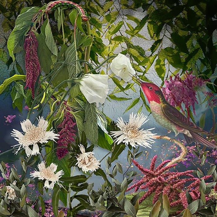 Ryn Clarke, Hummingbird and Caterpillar, 2024
