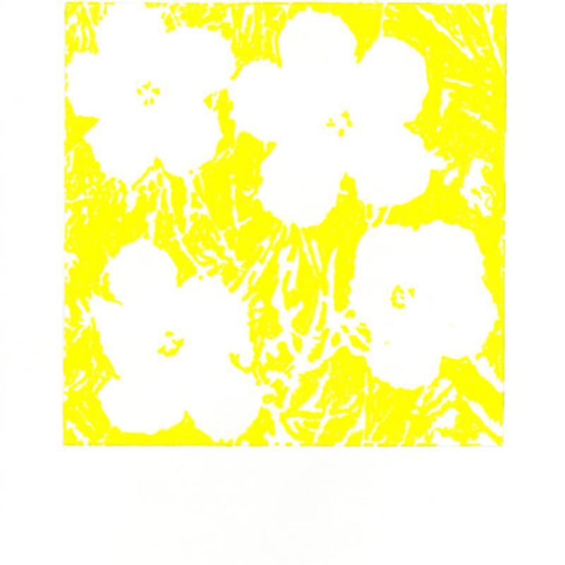 John Zinsser, After Andy Warhol, Flowers, 1964 (Yellow Version), 2011