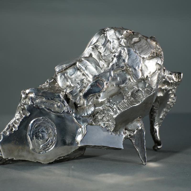 Zero Higashida, Sinjin, 2010