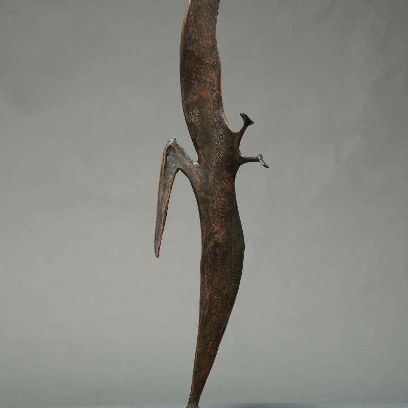 Robert Cook, Pelican, 2011