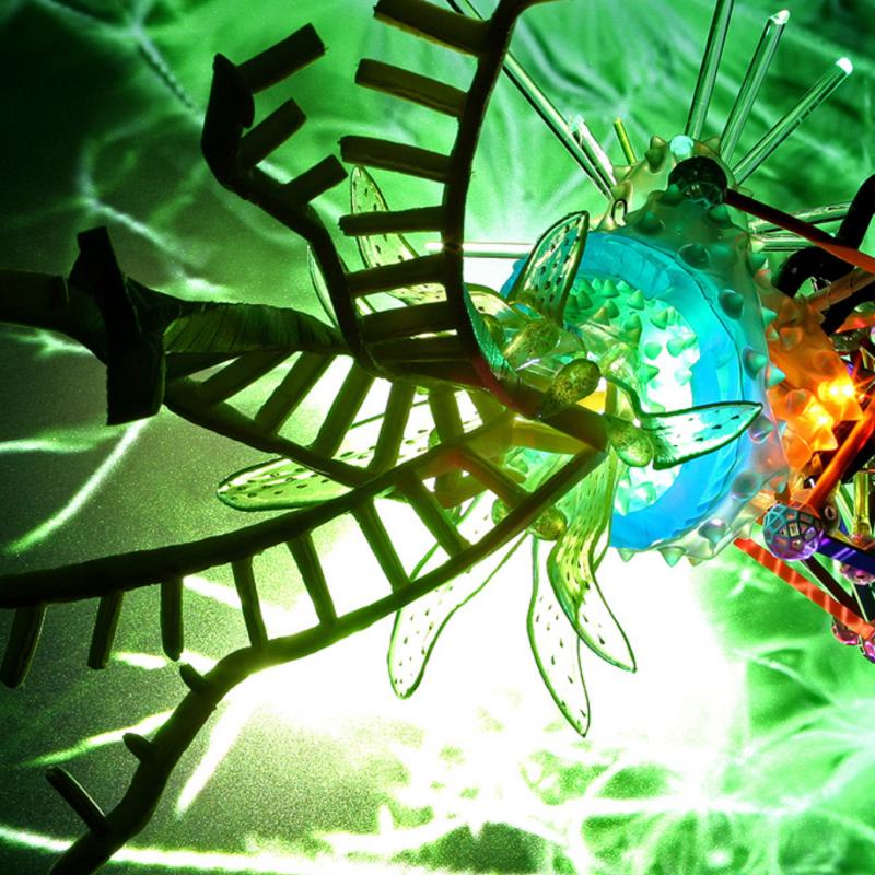 Disney Nasa Borg, Genetics Lite Show, #3, 2008