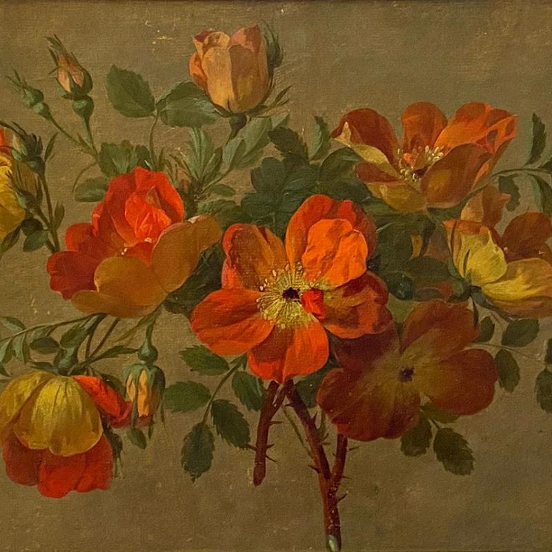 Agne-Louis-Guillaume Lesourd-Beauregard, Les Eglantines