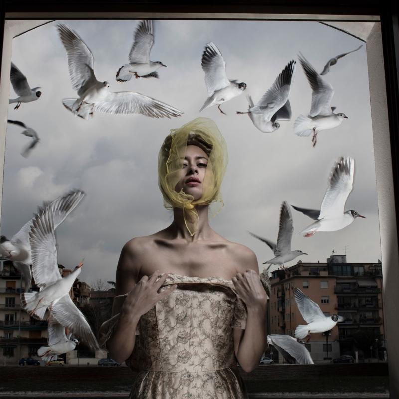 Formento & Formento, Lulu’s Seagulls, Verona