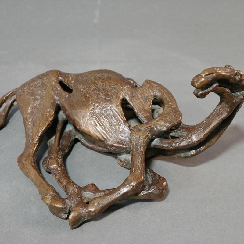 Robert Cook, Laying Down Camel, 1987