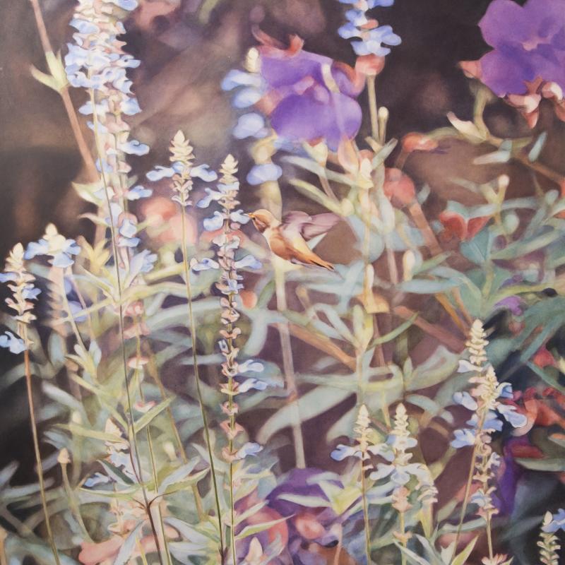 Diane Andrews Hall, Hummingbird in Salvia, 2005