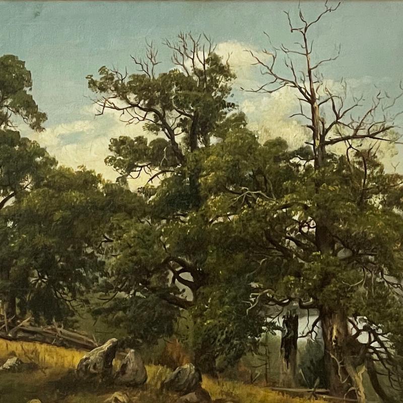 Thomas Worthington Whittredge, Tree Study, Lake George