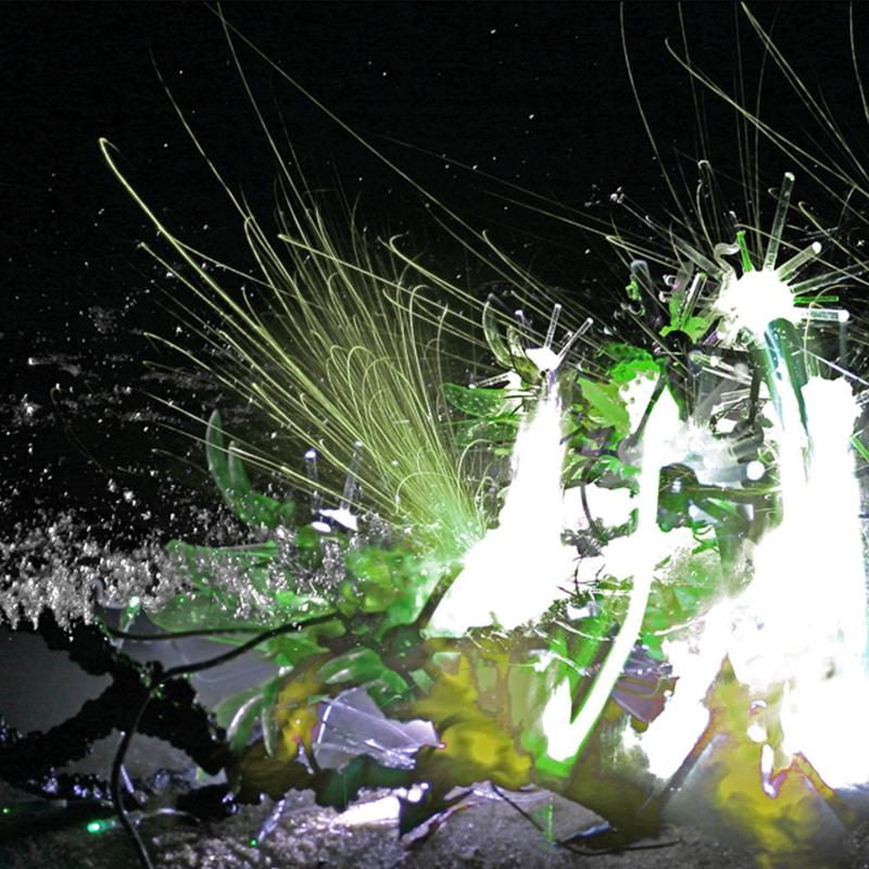 Disney Nasa Borg, Emergent Ecological Technologies #2, 2009