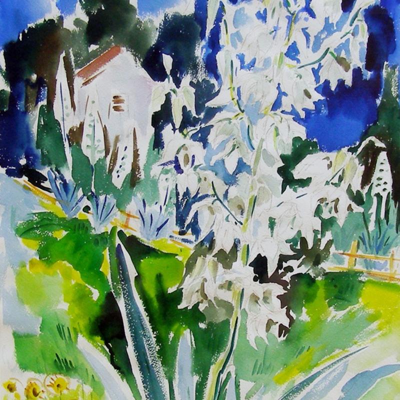 Werner Drewes, Yucca Growing in Garden, Circa 1960
