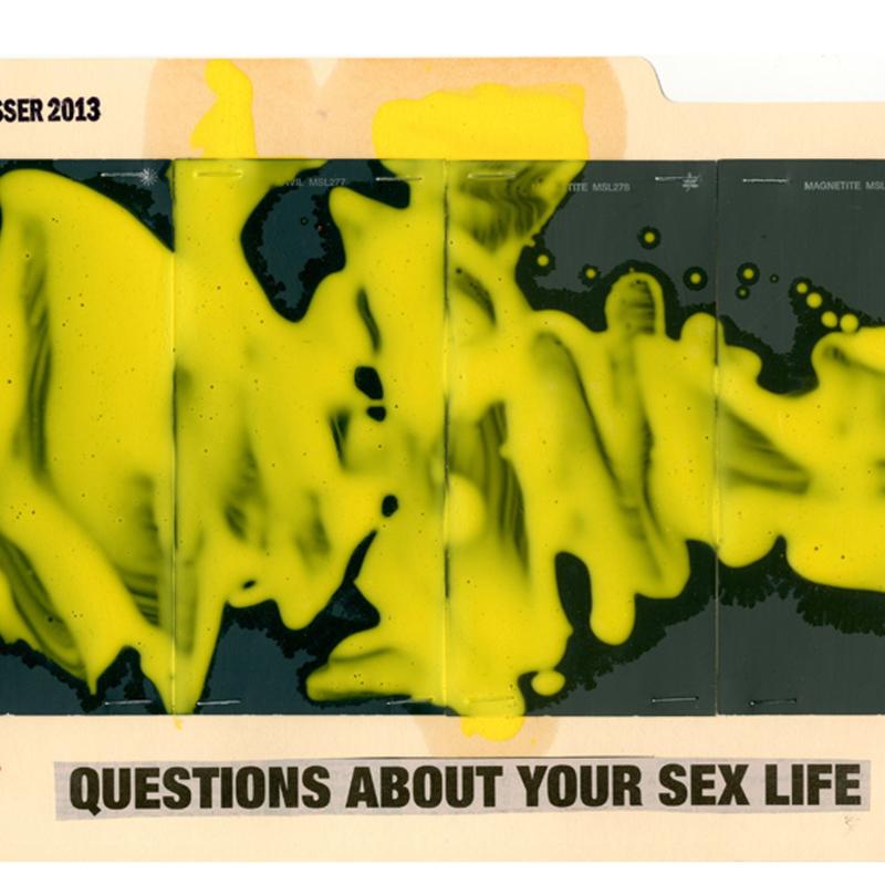 John Zinsser, File Study: Questions About Your Sex Life, 2013