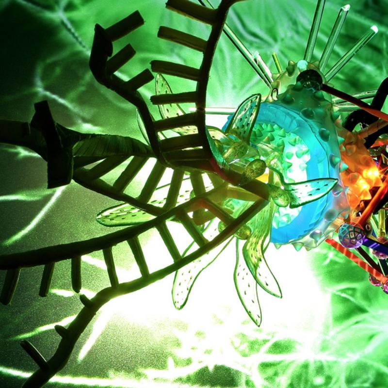 Disney Nasa Borg, Genetics Lite Show #3, 2008