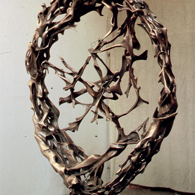 Robert Cook, Evolution, 1983