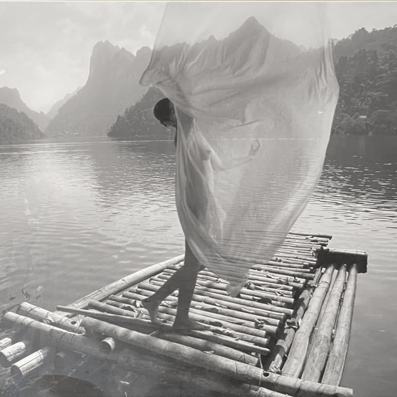 Tran Huy Hoan, Lady on Raft, 2018