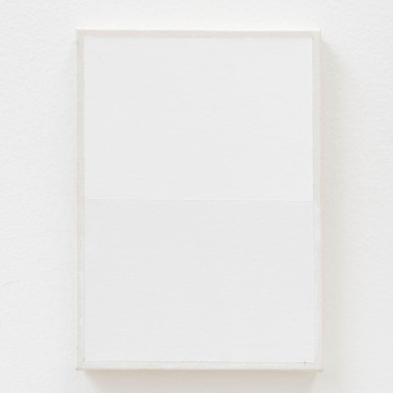 Bruno Baptistelli, Sem título, da série Superfícies [Untitled, from the Superfícies series], 2014