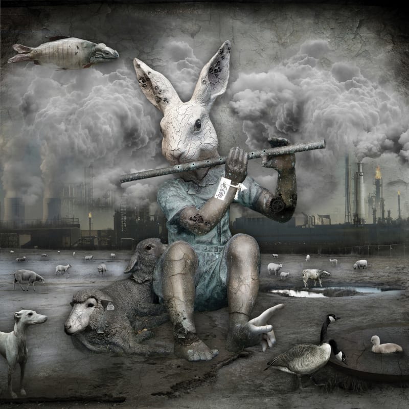 Marcin Owczarek, GMO SHEPHERD, 2013