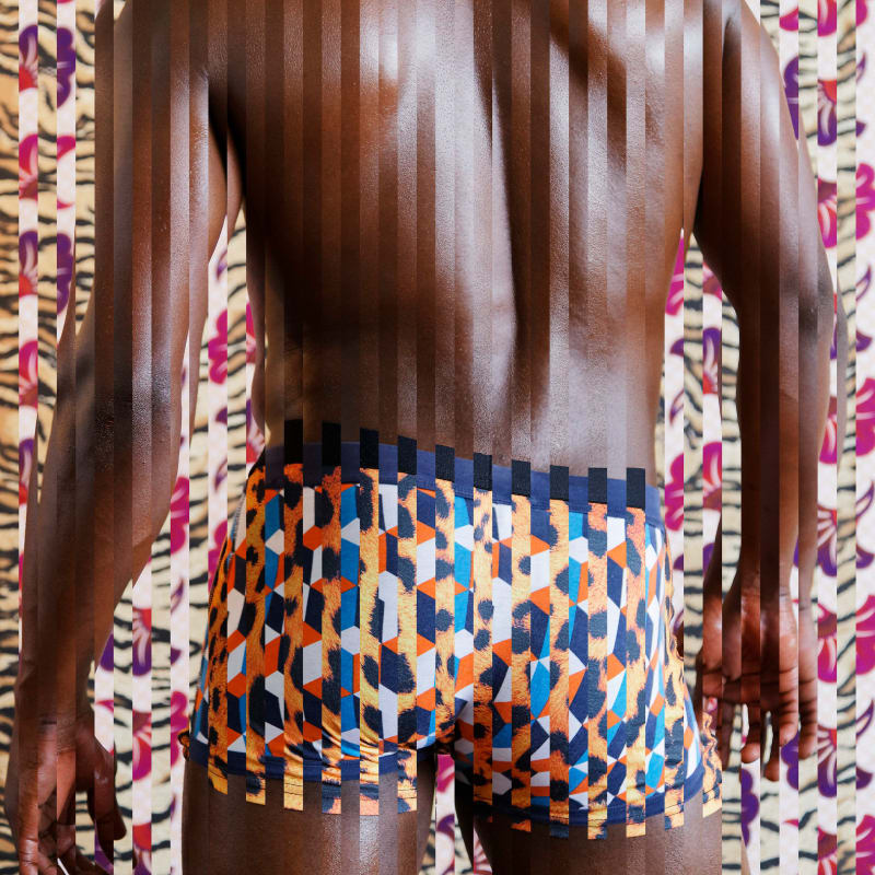 Gary Stephens, LEOPARD UNDERWEAR, 2015