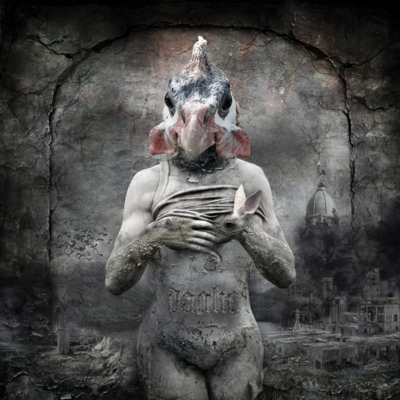 Marcin Owczarek, CASSANDRA, 2012