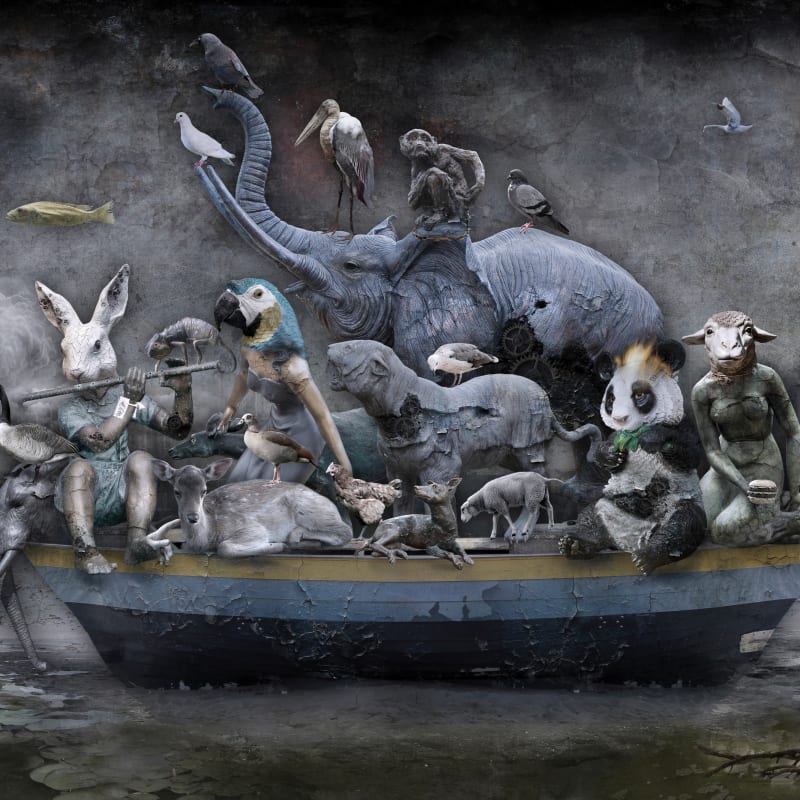 Marcin Owczarek, PARADISE LOST, 2015